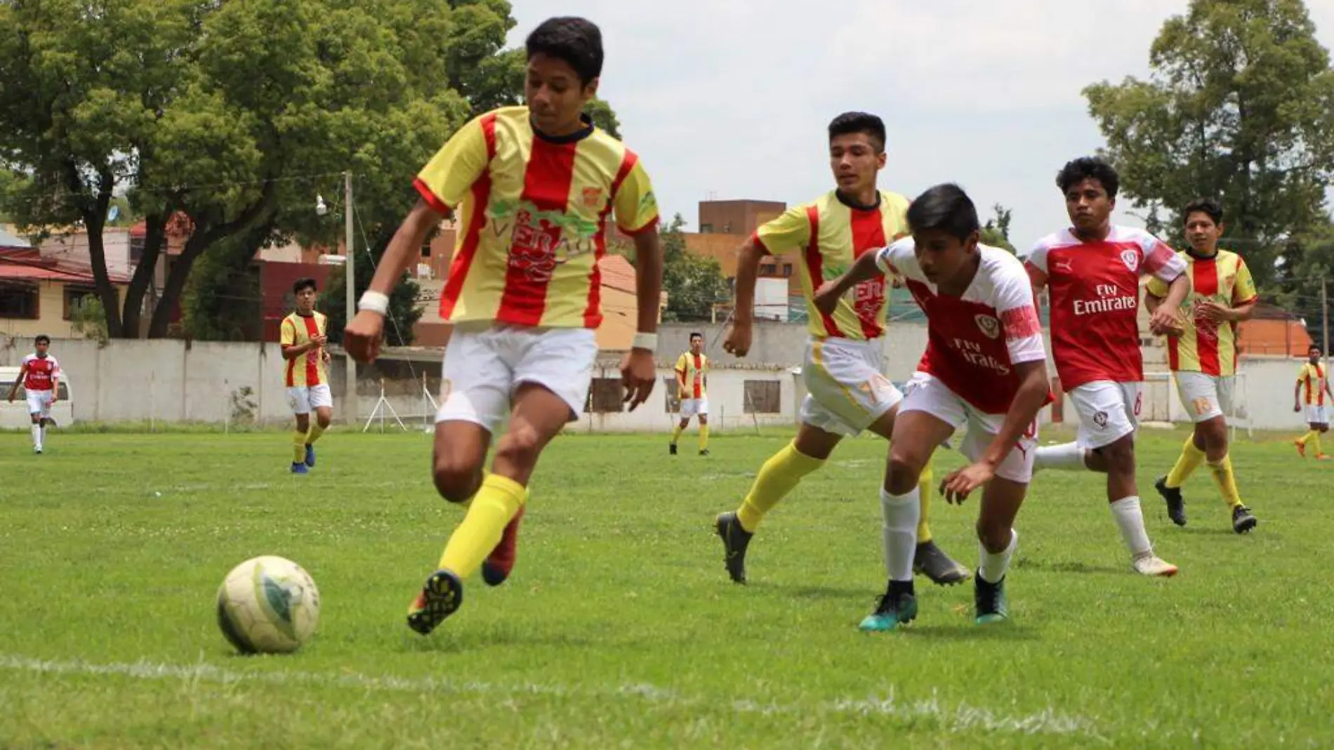 LANEROS A SEMIFINAL